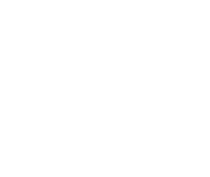 RushPilot